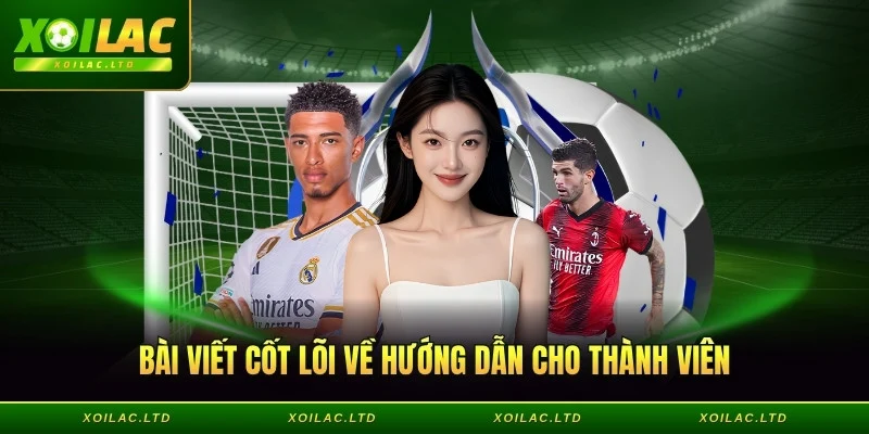 Bài viết cốt lõi về hướng dẫn cho thành viên