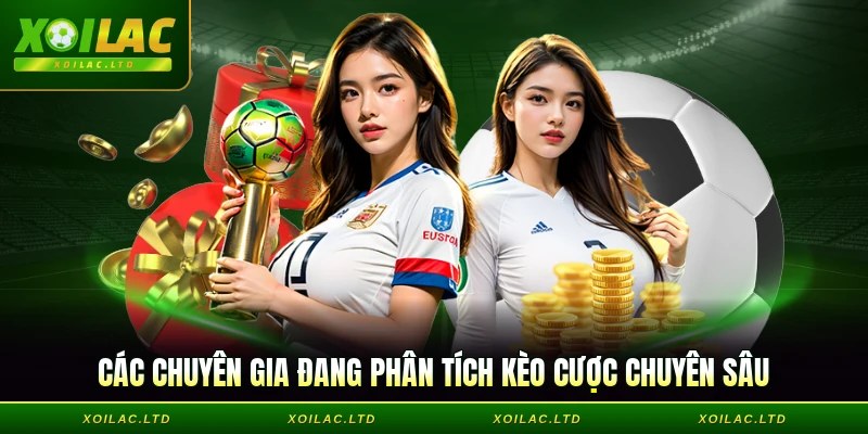 Các chuyên gia đang phân tích kèo cược chuyên sâu
