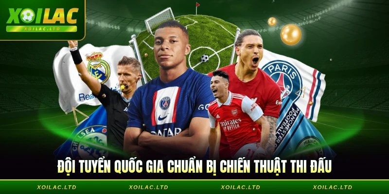 Đội tuyển quốc gia chuẩn bị chiến thuật thi đấu
