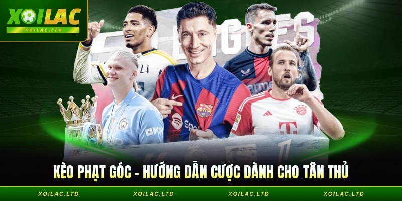 Kèo phạt góc - Hướng Dẫn Cược Dành Cho Tân Thủ