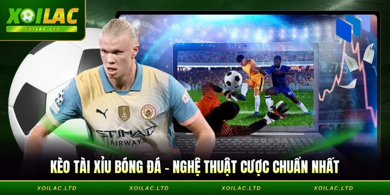 Kèo tài xỉu bóng đá - Nghệ Thuật Cược Chuẩn Nhất