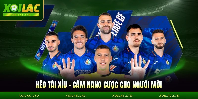 Kèo Tài Xỉu - Cẩm Nang Cược Dành Cho Người Mới