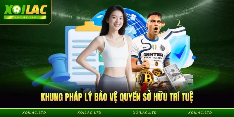 Khung pháp lý bảo vệ quyền sở hữu trí tuệ