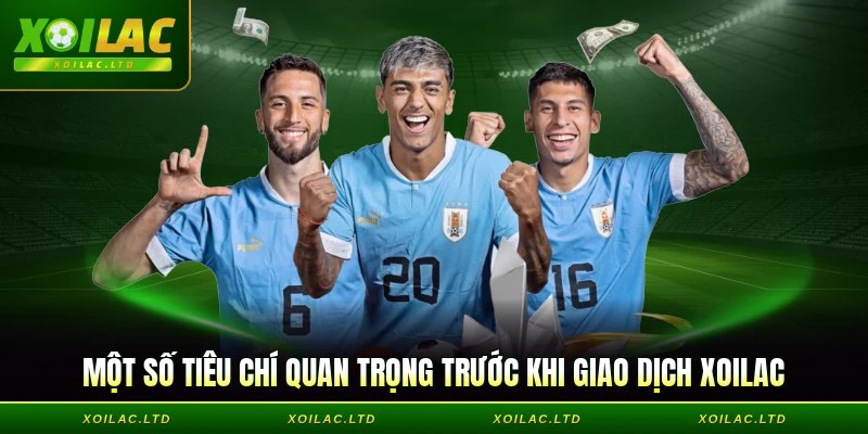 Một số tiêu chí quan trọng trước khi giao dịch