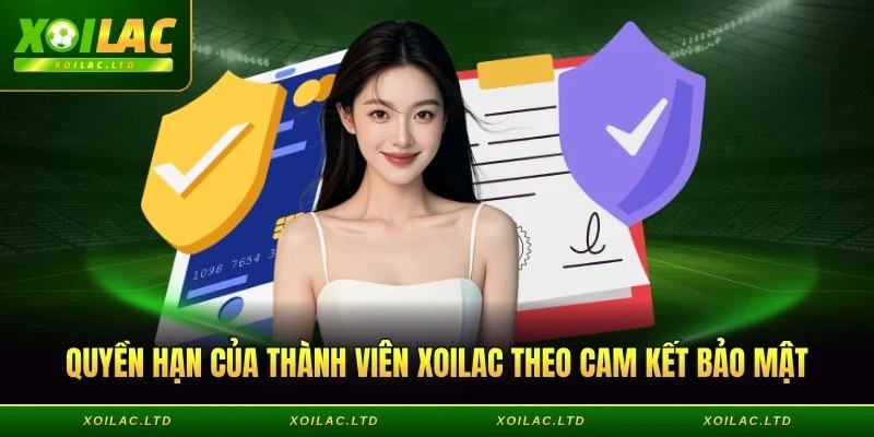 Quyền hạn của thành viên theo cam kết bảo mật