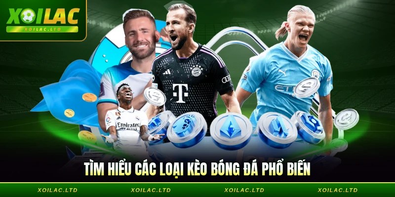Loại kèo được chọn nhiều nhất