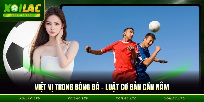 Việt Vị Trong Bóng Đá - Luật Cơ Bản Không Thể Bỏ Qua
